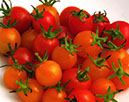 %_tempFileNameIMG_0647s%
