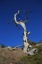 %_tempFileName_MG_1168m2%